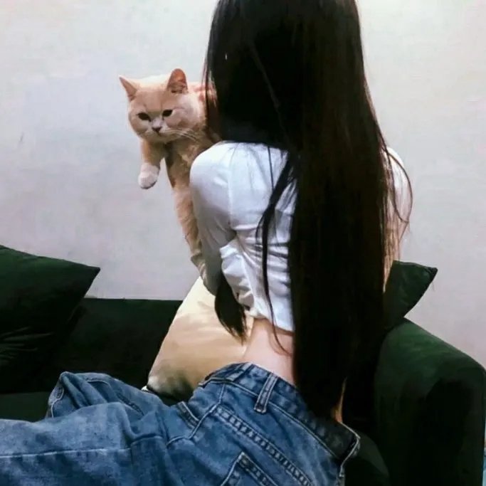 现在去见你